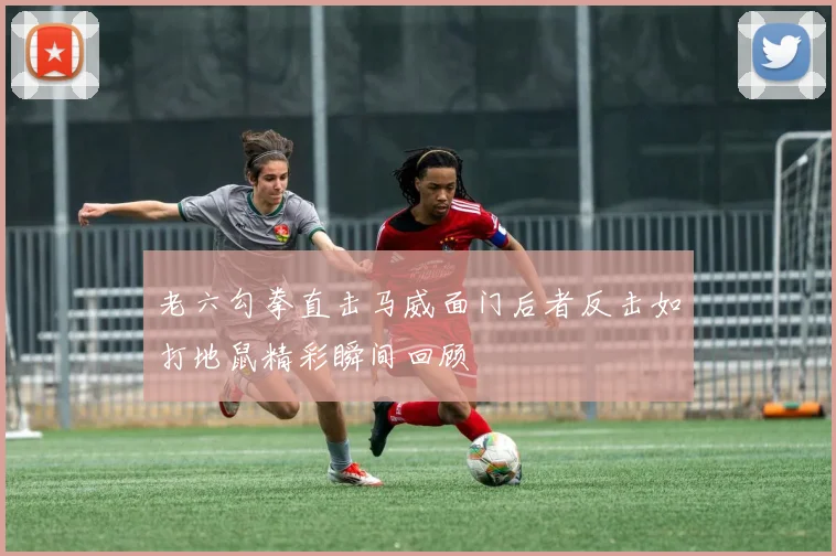 老六勾拳直击马威面门后者反击如打地鼠精彩瞬间回顾
